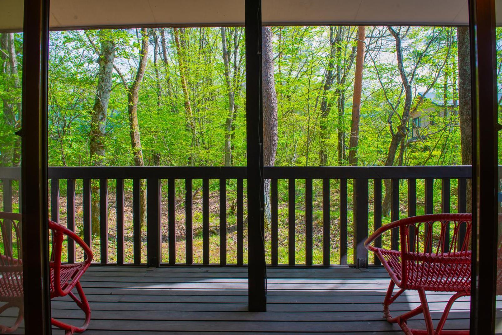 クラレンス Bbqやお鍋も楽しめる北軽井沢のvacationrental Buitenkant foto